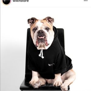 Meet your Posher, Franky